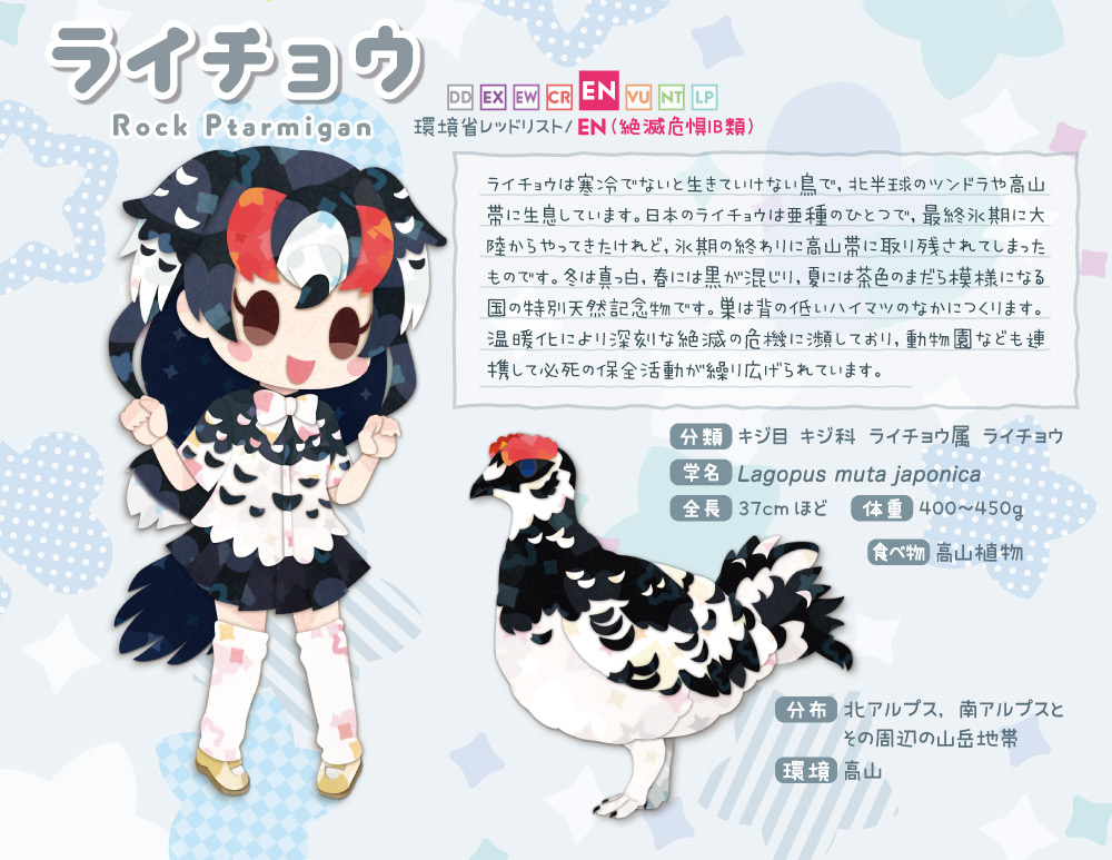 ライチョウさん