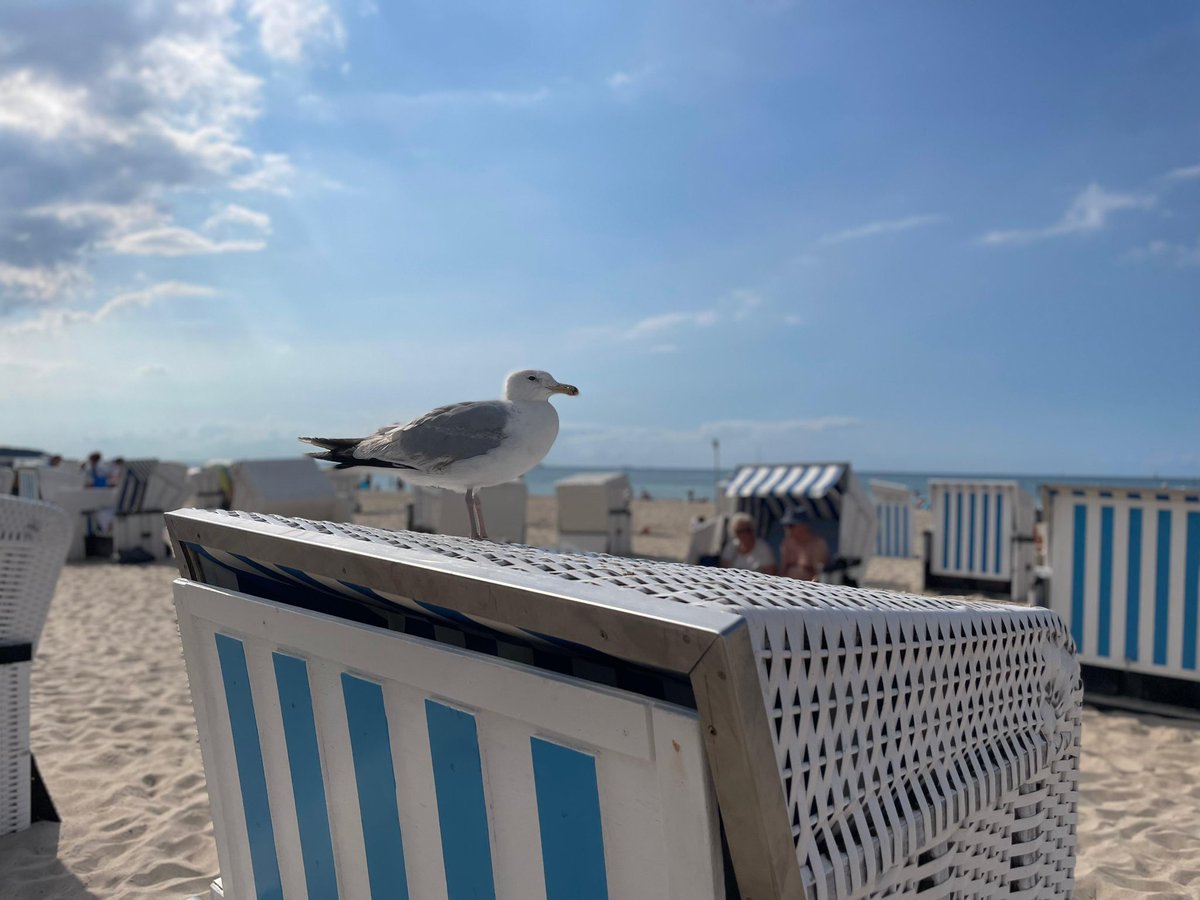 US Consulate Hamburg tweet media