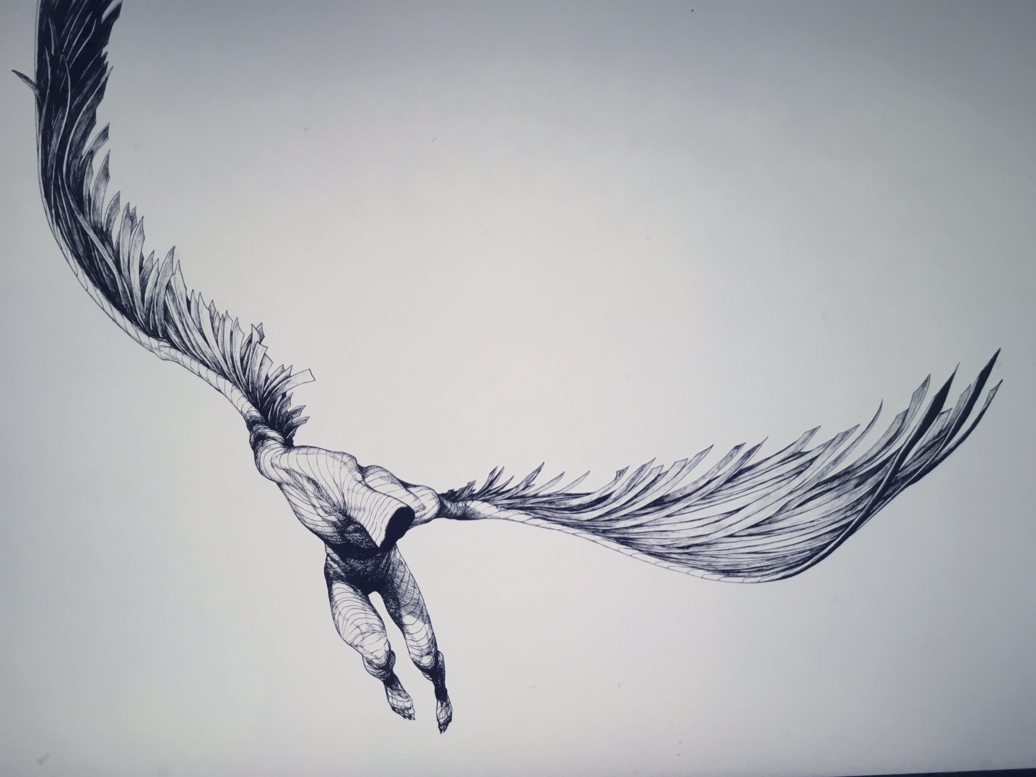 肉質画　サインあり　作者不詳 Yahoo!オークション - 【TAKIYA】6360 中山忠彦 『粧』 額装