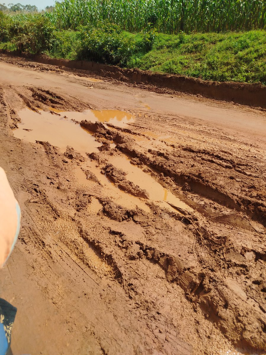 Shinyalu chepsonoi road has now become a major risk to the community. The road from Kakamega airstrip to Virhembe has become impassable , characterised with massive potholes and blocked culverts. Right now it's muddy and slippery. #DefendRecordYako. <a href="/KeNHAKenya/">Kenya National Highways Authority (KeNHA)</a> <a href="/DrBKhalwale/">Dr Boni Khalwale, CBS</a>