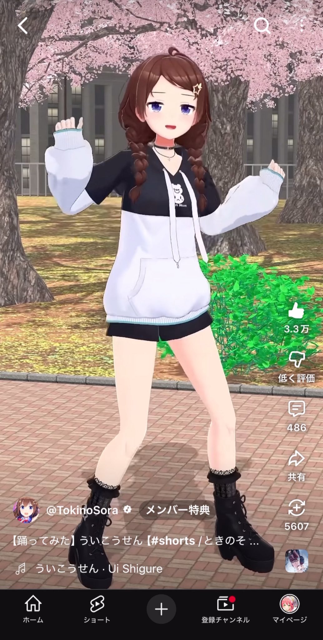 ゆき☆ワンちゃんネコちゃんシリーズ Amazon.co.jp: まるで親子のような犬と猫 今日も仲良し！ ユキ