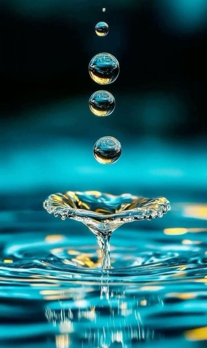 "اجالے میں اصلیت نظر نہیں آتی, اندھیرا ہی بتا سکتا ہے ستارہ کون ہے."