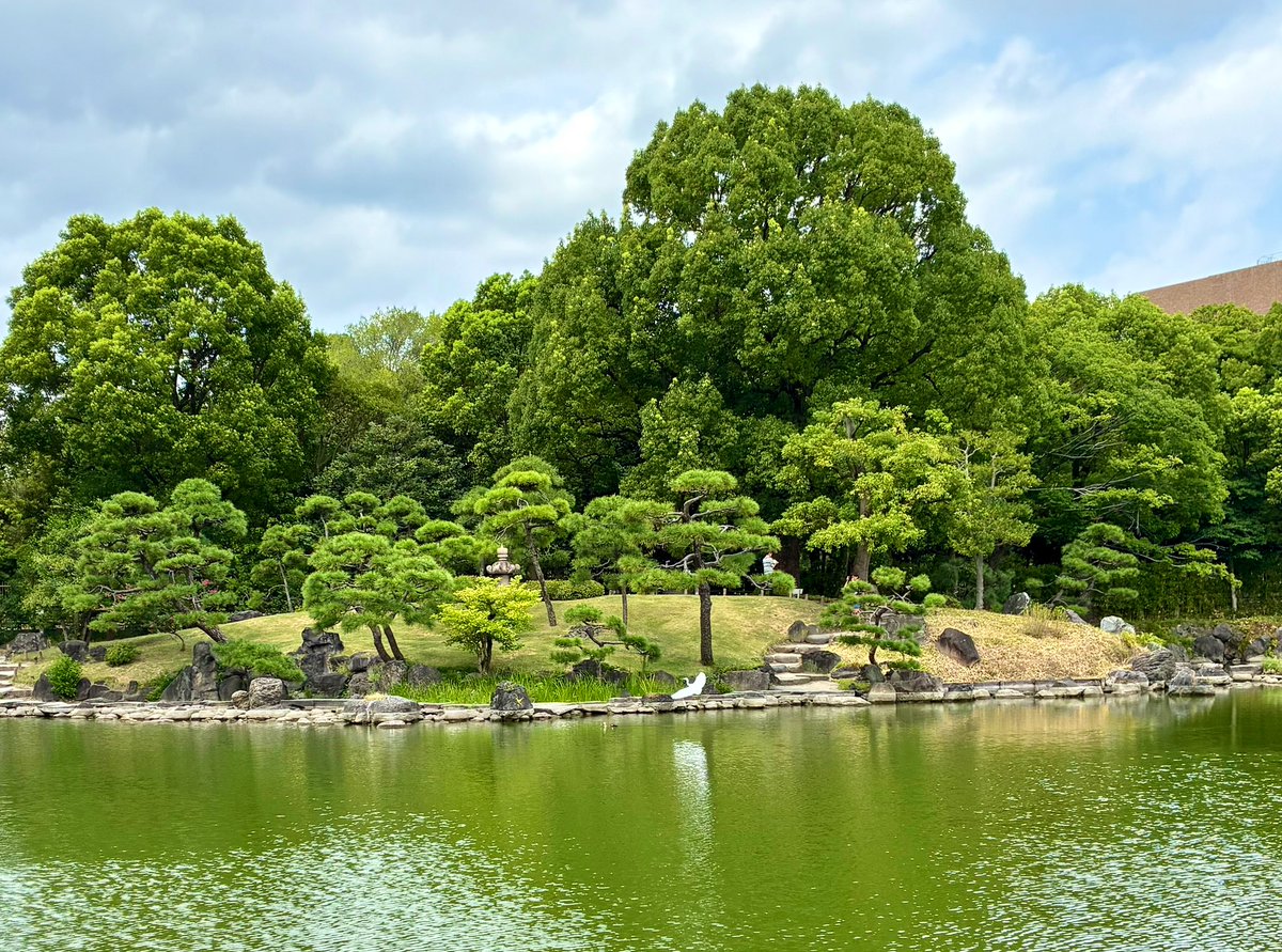 tokyo_kyoto_jp's tweet image. 清澄庭園
涼亭🤳 秋風僅か  #白風　

通訳ガイドのコミュニケーション
ワークショップ・ミニ句会 
#JWG

右・お祝いの🥂スパーリングワイン

had a wonderful day in Kiyosumi Garden 🌿　
#authentic   #landscape  
#tranquility  #tokyo