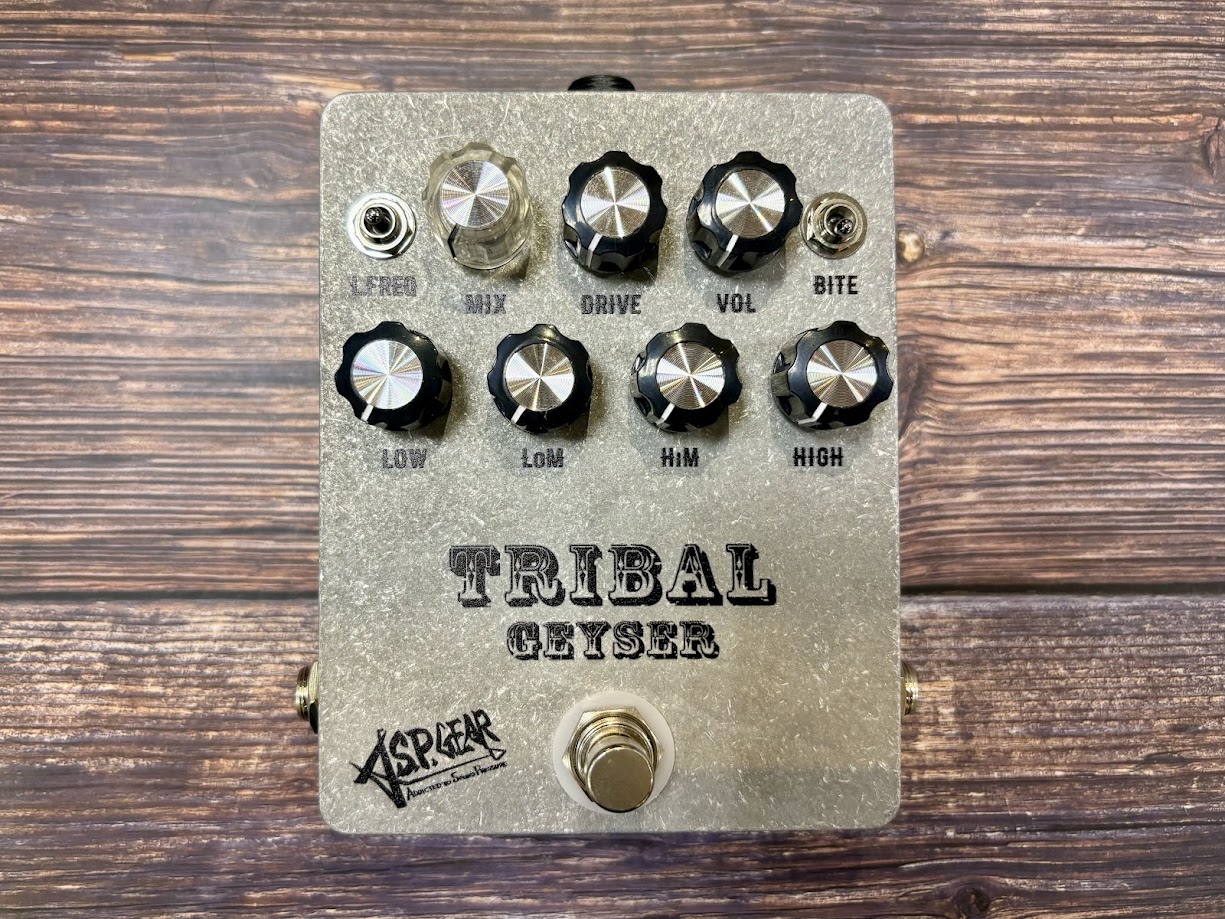 A.S.P. GEAR TRIBAL GEYSER-S 島村楽器梅田ロフト店限定 A.S.P. GEAR TRIBAL GEYSER-S 島村楽器梅田ロフト店限定 - メルカリ