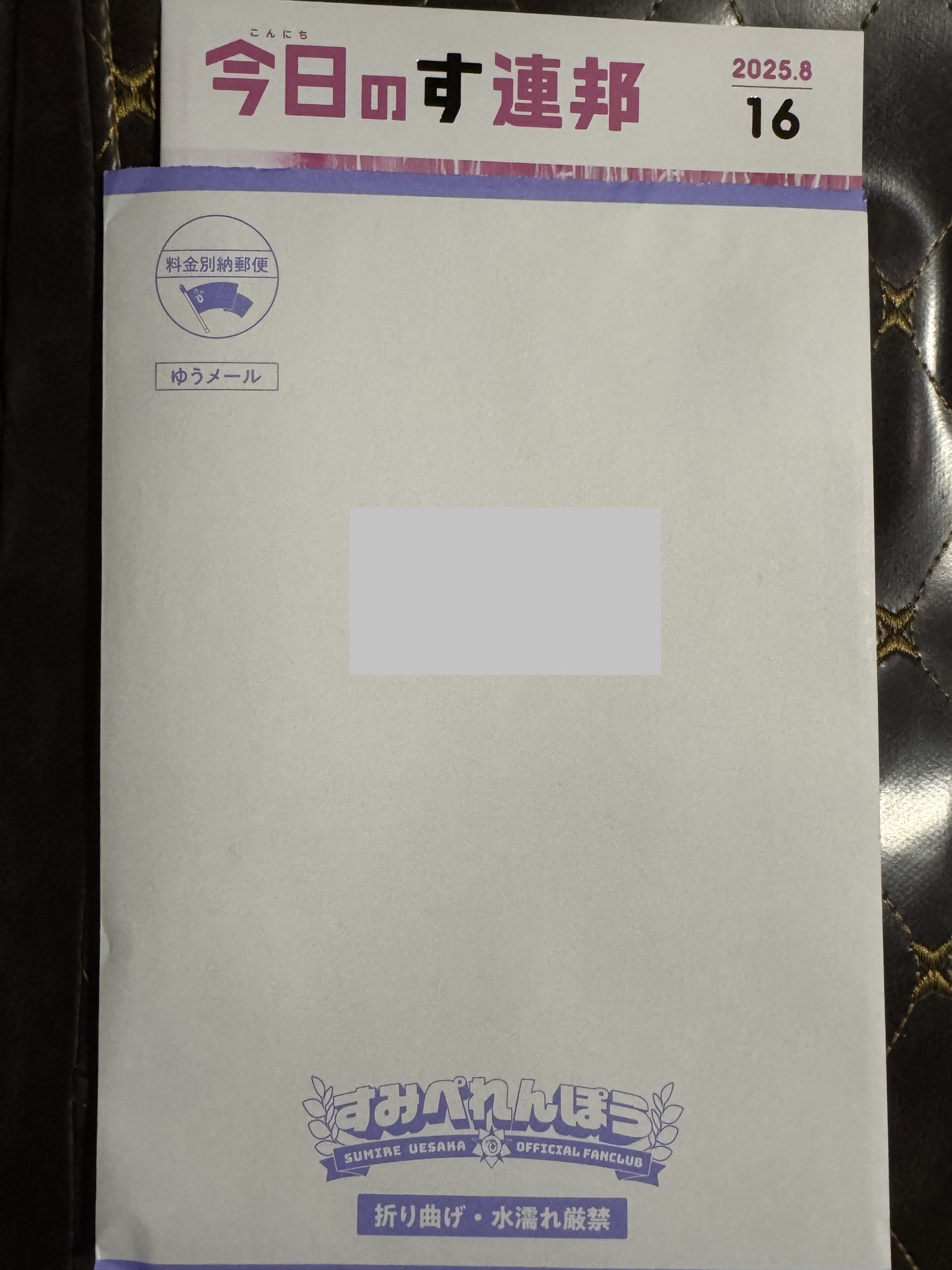 上坂すみれ ファンクラブ会報誌 全11部 専用バインダー付属 上坂すみれ ファンクラブ会報誌 全11部 専用バインダー付属