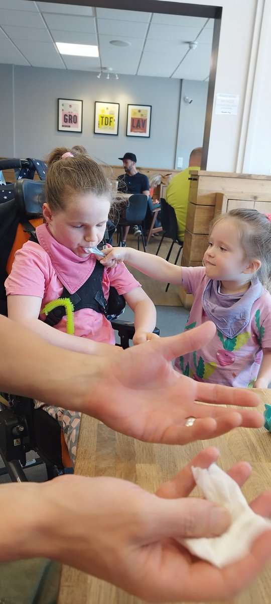 CatSummers tweet media