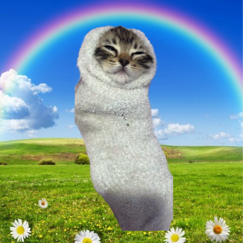 so we just had cool (cat in stool) hit 600k and i think i just found something similar 

theres currently a tik tok trend getting millions of views where owners are putting their cats in socks aka $cocks

its super viral and cute think this could be the next pve runner