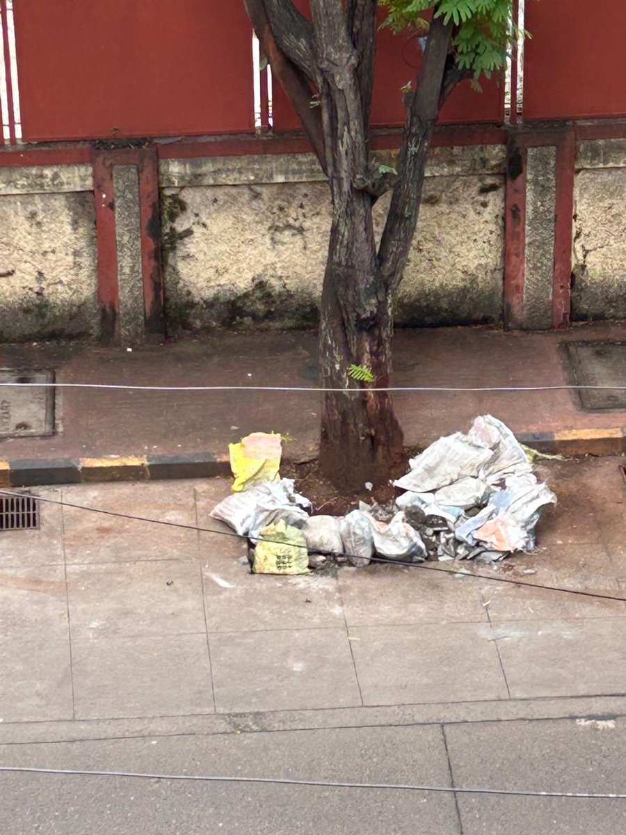 lillianpais's tweet photo. @mybmc These ladies are at their job again! Left many bags on the corner of 9th Rd at God's Gift, Almeida Park &amp; outside St Joseph's school Manuel Gonsalves Rd. @MumbaiPolice @mybmcWardHW they have to be penalized and FIR filed for littering. https://t.co/5WQ0ZCOdVB