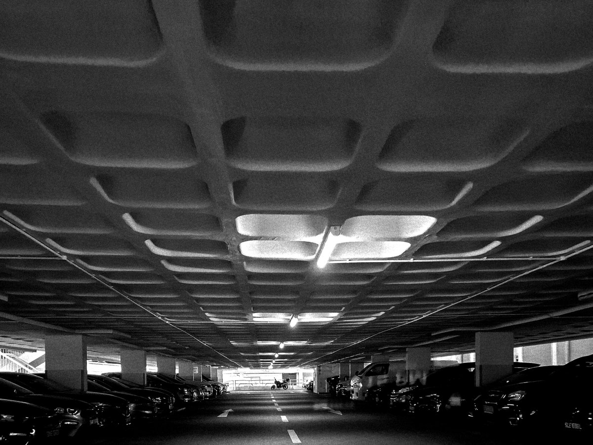 seawmichael's tweet image. Scene of Singapore

The honeycomb ceiling of a multi-storey carpark built in the 1980s.