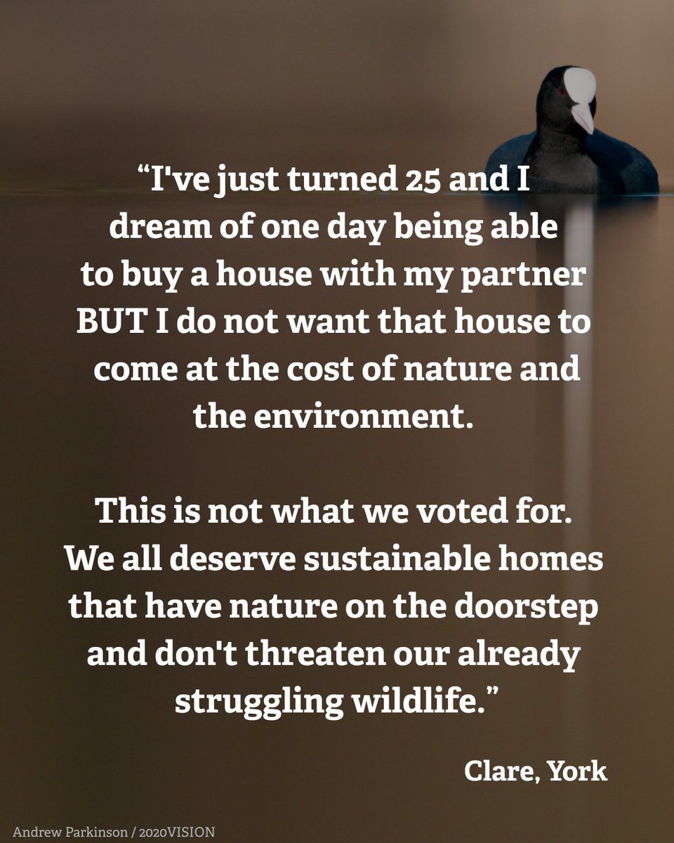 It doesn’t have to be “nature vs development”.

That’s the message we sent to UK Government. Thank you to everyone who added their views – and for always standing up for wildlife 💚