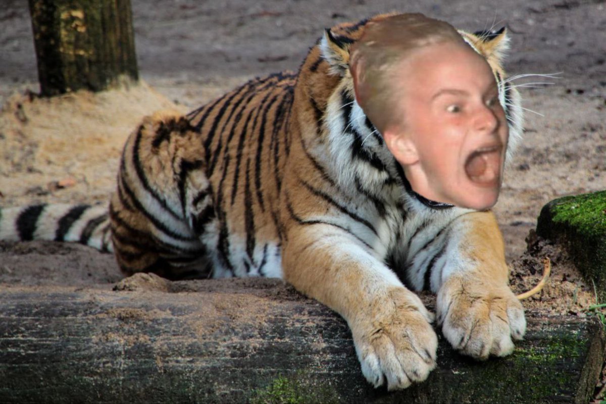 Mara❤️‍🔥 (@iambluuuee) on Twitter photo 