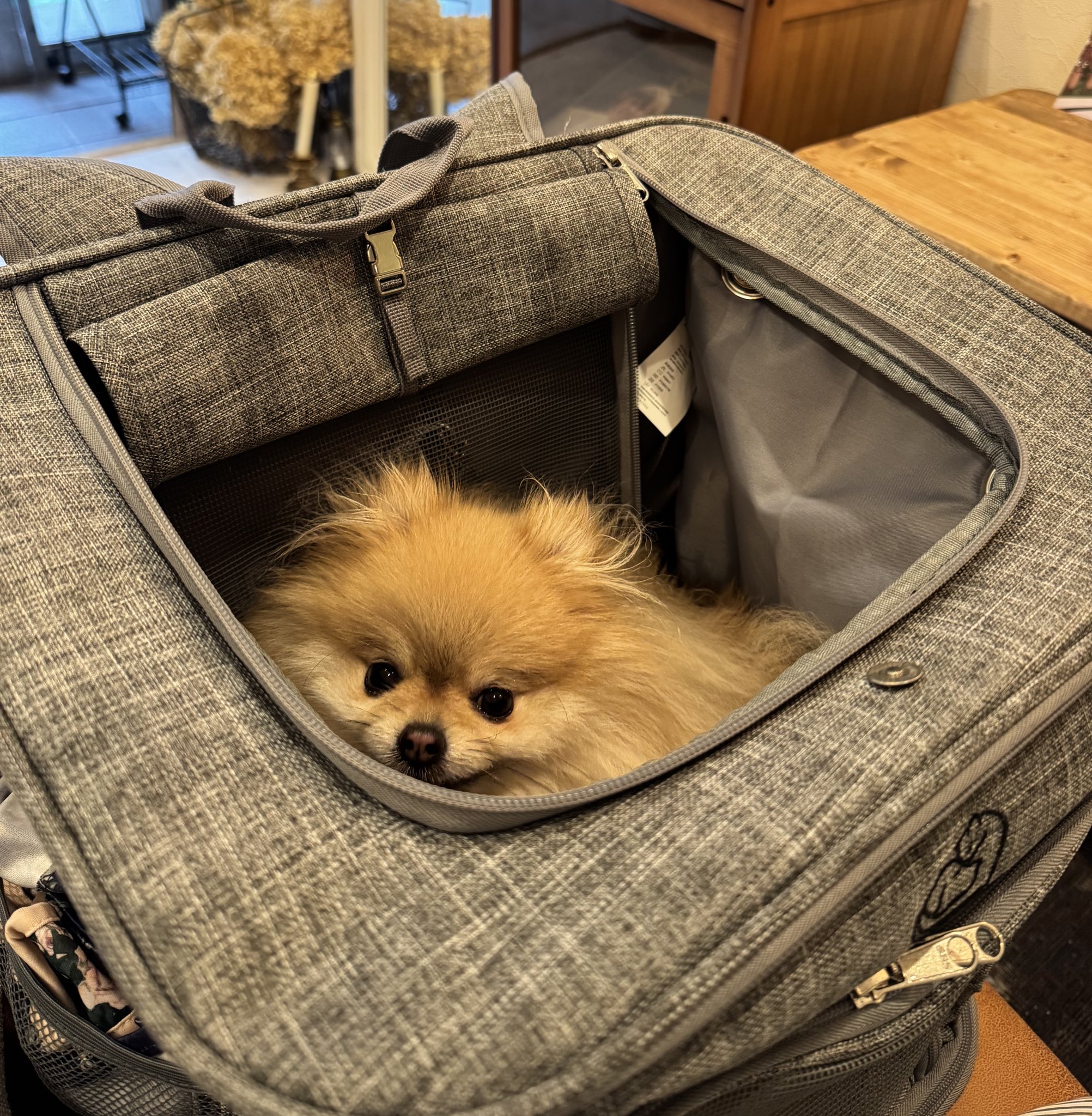 mikoページ Miko724 || こうめい (@Miko00724) / X