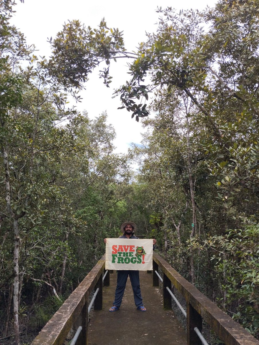 Sajib Biswas (@sajibherptiles) on Twitter photo Save #Frogs
Save #Sundarbans 
<a href="/savethefrogs/">SAVE THE FROGS!</a> Save #Frogs
Save #Sundarbans 
<a href="/savethefrogs/">SAVE THE FROGS!</a>