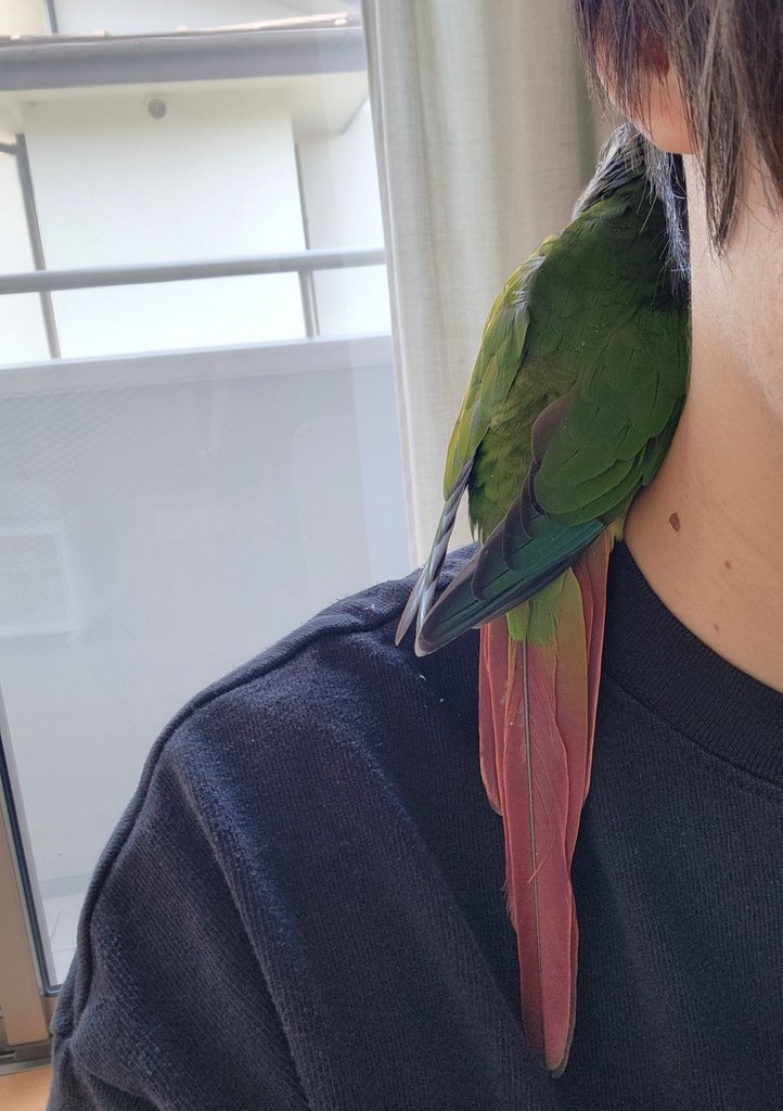 生きてます！
首に寄り添ってくれるかぼす…𝑳‌𝑶‌𝑽‌𝑬…