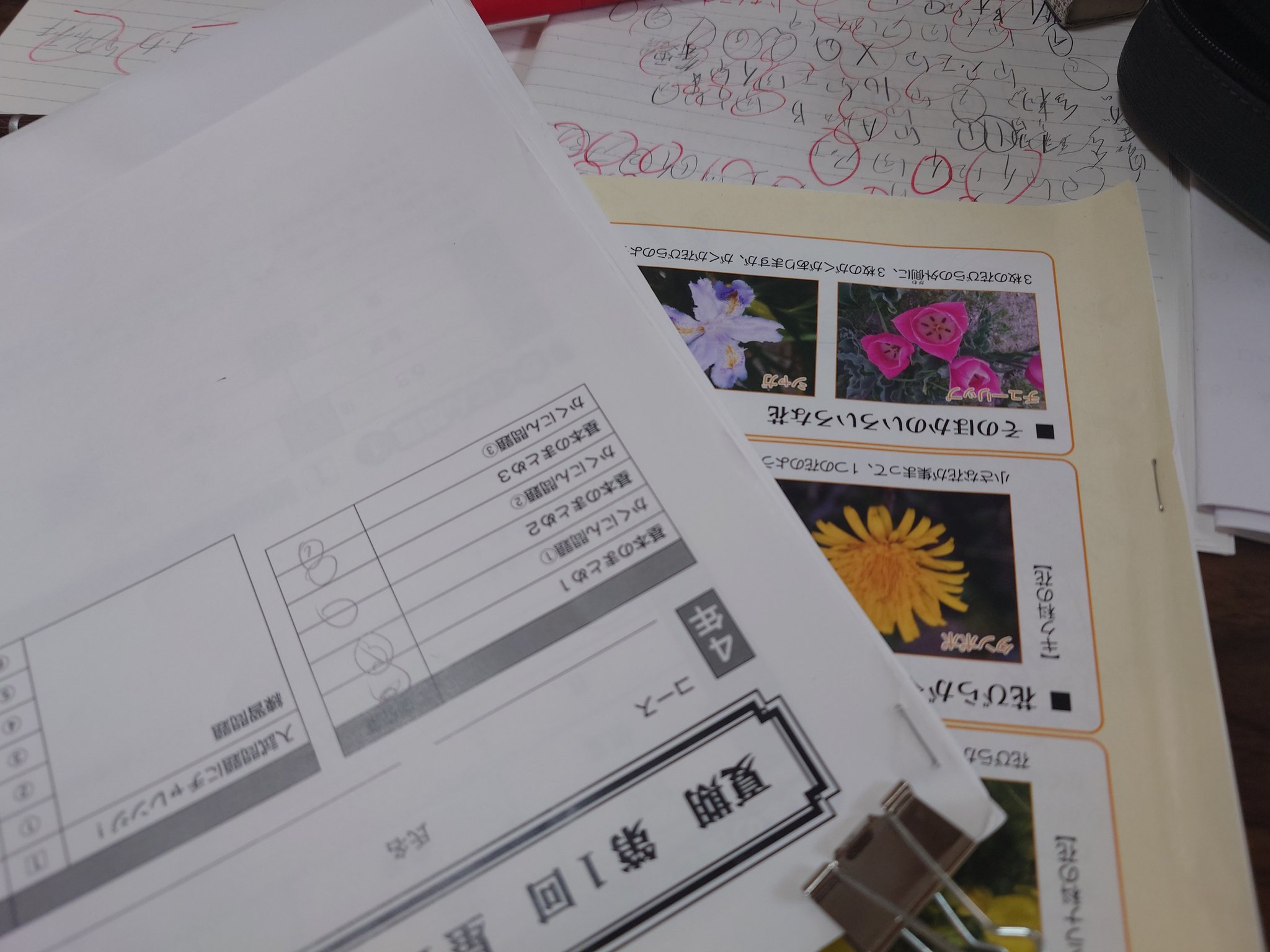 ひろぞー@2028G (@hirozo_edu) / X