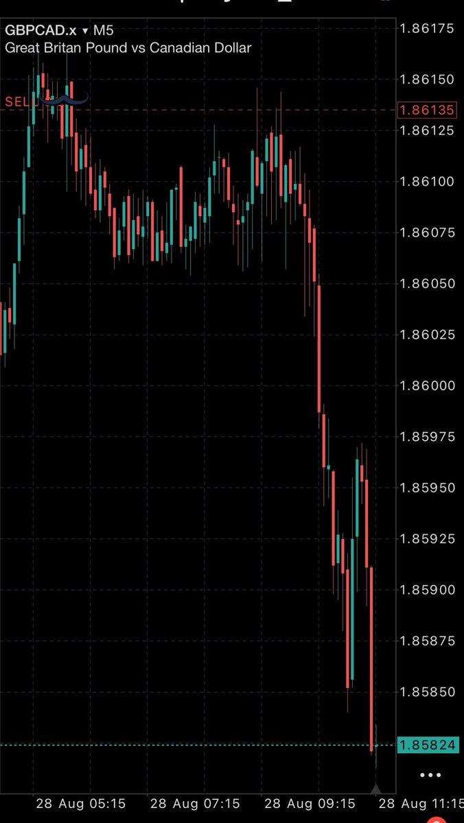 itzseedorf's tweet image. . $GBPCAD   Patience and profit
Gm