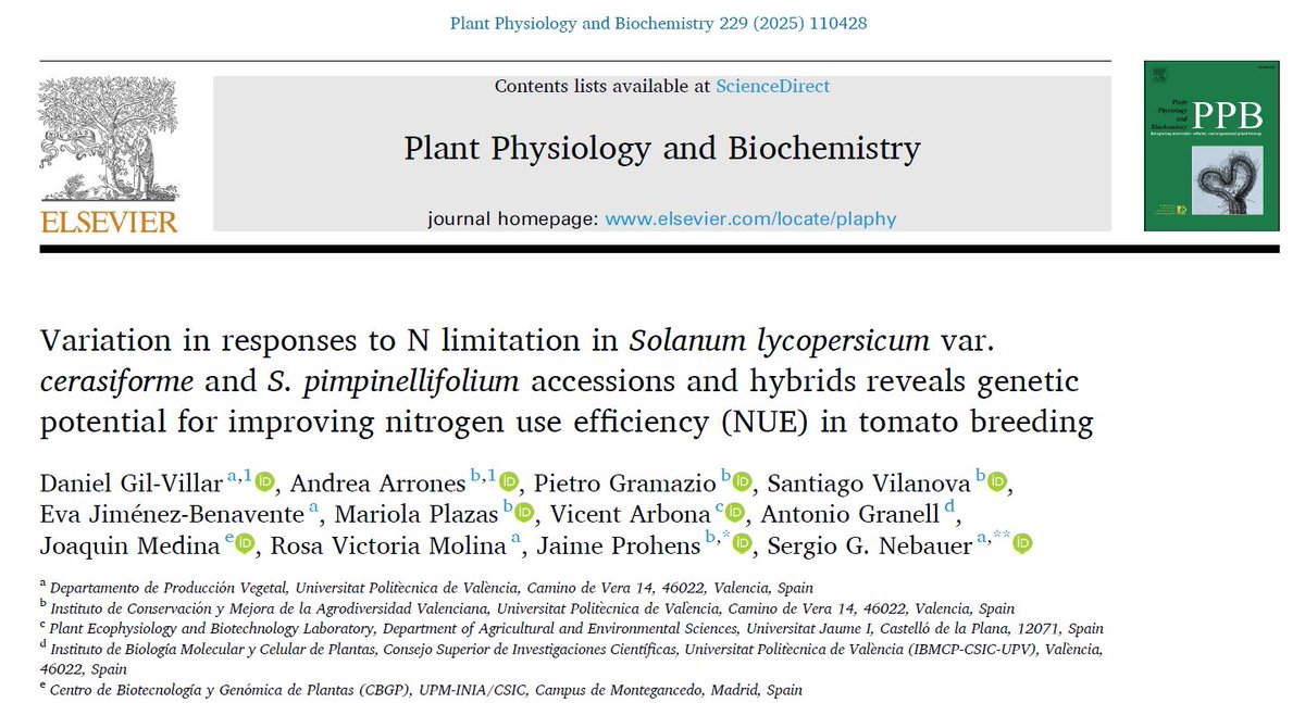 lab129_jm's tweet photo. 🌱 New article!

In collaboration with Universitat Politècnica de València, we reveal how wild and hybrid tomatoes adapt to nitrogen limitation. 🍅

🔗 https://t.co/V1m1fiTikR

#PlantScience #TomatoBreeding https://t.co/xUE8XNZLDQ
