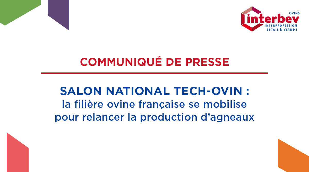 [Salon #TechOvin]

"Produire plus pour manger mieux" : la filière ovine française se mobilise pour relancer la production d’agneaux.
📅 Rendez-vous le mercredi 3 septembre à 17h30
📍 Sur le ring du chapiteau B du Salon TECH-OVIN 

Lors du salon et dans le cadre du programme
