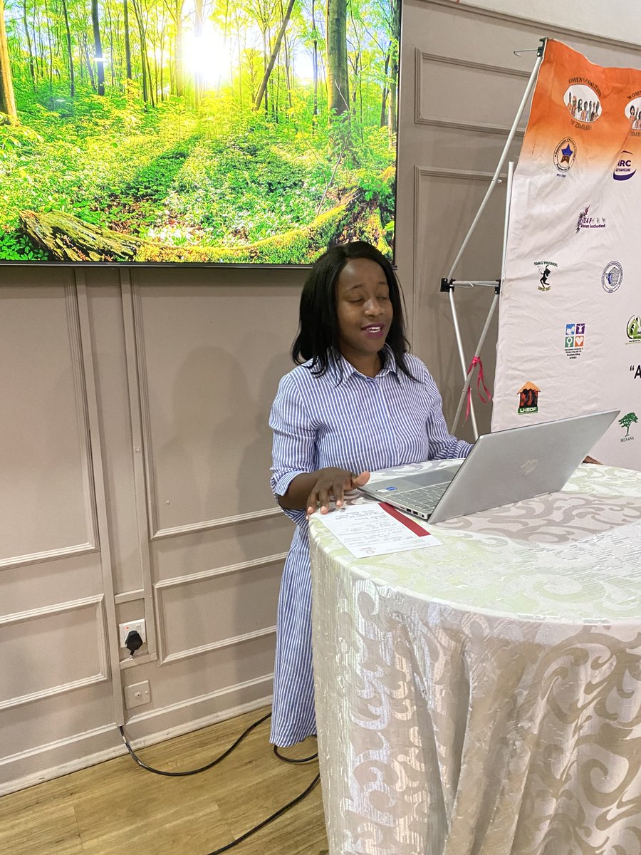 Margaret Chogugudza from Rural Young Women Support Network bemoaned some of the challenges women in artisanal mining face and this includes limited access to resources, health and safety risks, GBV, cultural stereotypes and gender roles as well as environmental and health risks.