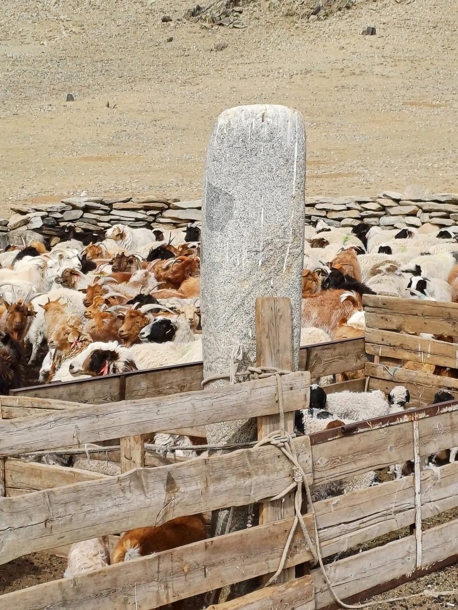 Баянхонгор Галуут сум Эмээл толгой. Түүхийн үнэт дурсгалдаа ингэж л ханддаг хүмүүсдээ бид