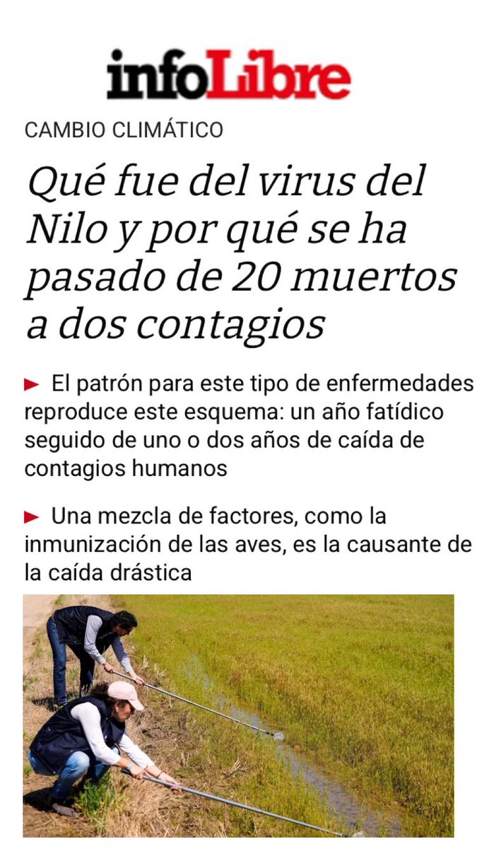 Rubén Bueno tweet media