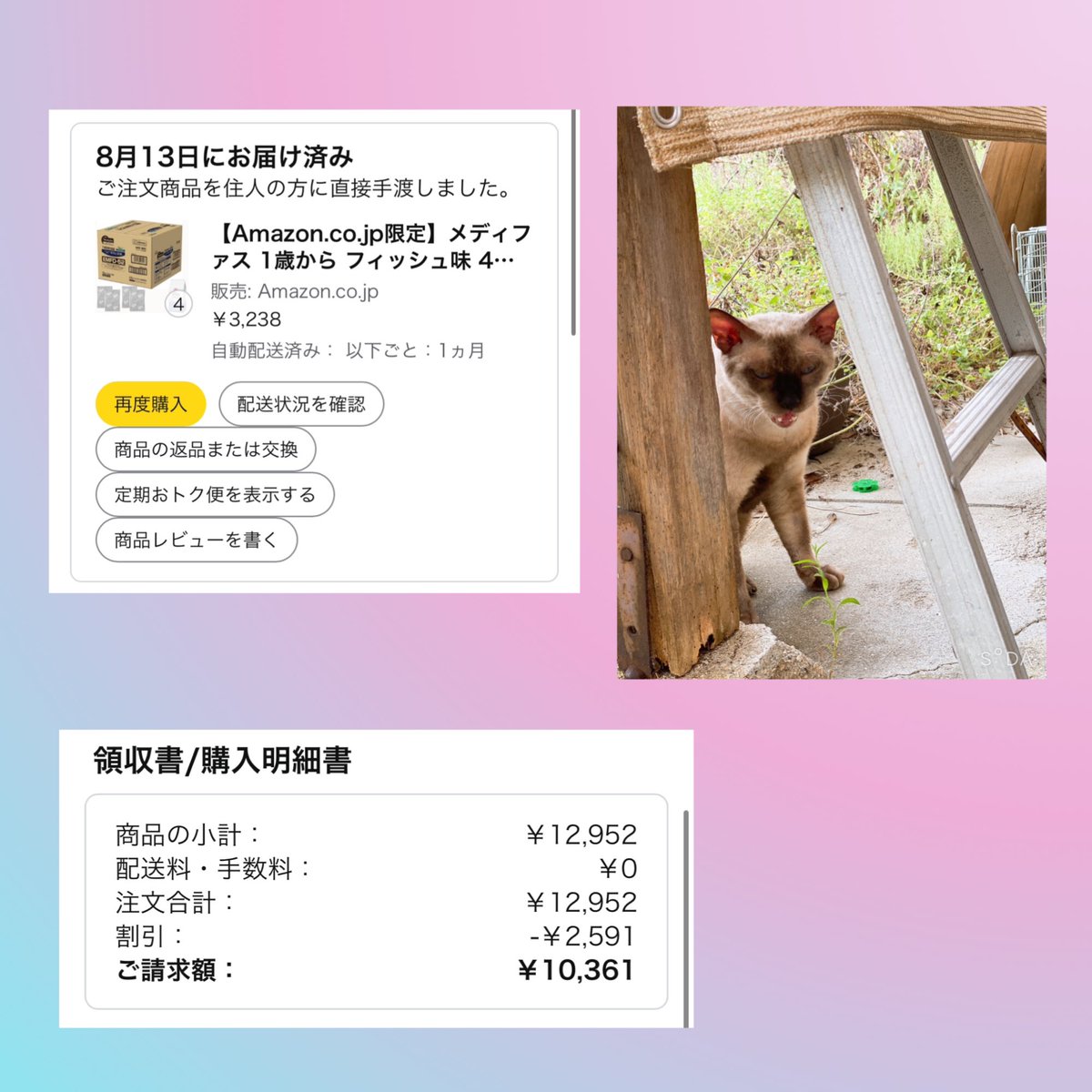 8月の御礼🍀*゜
今月も暖かなご支援、本当にありがとうございます(* ᴗ͈ˬᴗ͈)”
シェルター引越しに伴い、出費に追われております💸笑
キャットタワーもたくさん用意しないと…🤔
安くて長持ちするキャットタワーのおすすめあれば教えてください🙇‍♀️

 #Nyatwork
 #保護猫活動 
 #シェルター
 #引越し