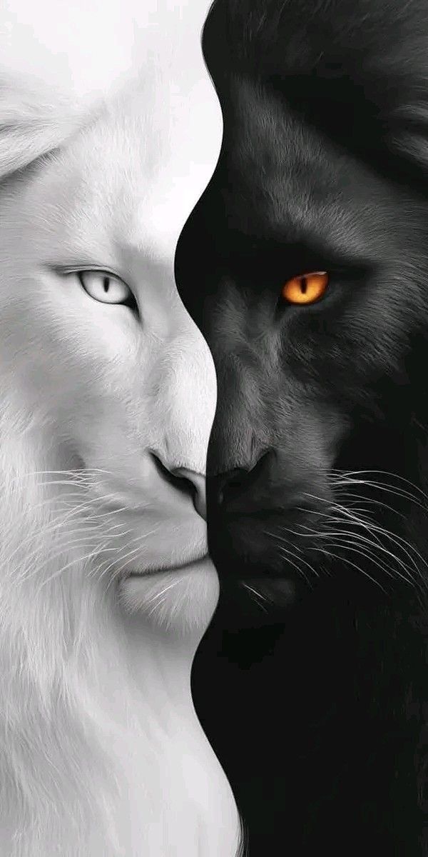 Aestheticsn1's tweet image. Every shades of skin holds the same soul &amp;amp; the same blood 🖤🤍  

#NoToRacism
#Equalitymatters 
#OneHumanRace