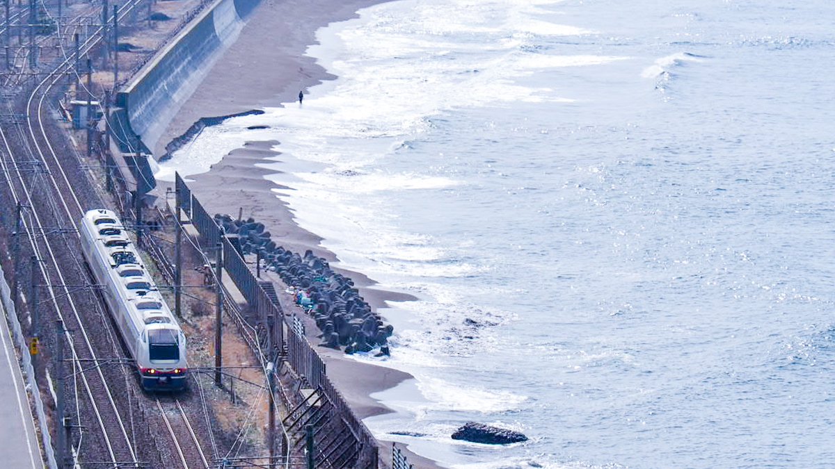 特急「しらゆき」で新潟～上越へ！ えきねっと限定「特急トクだ値1」50