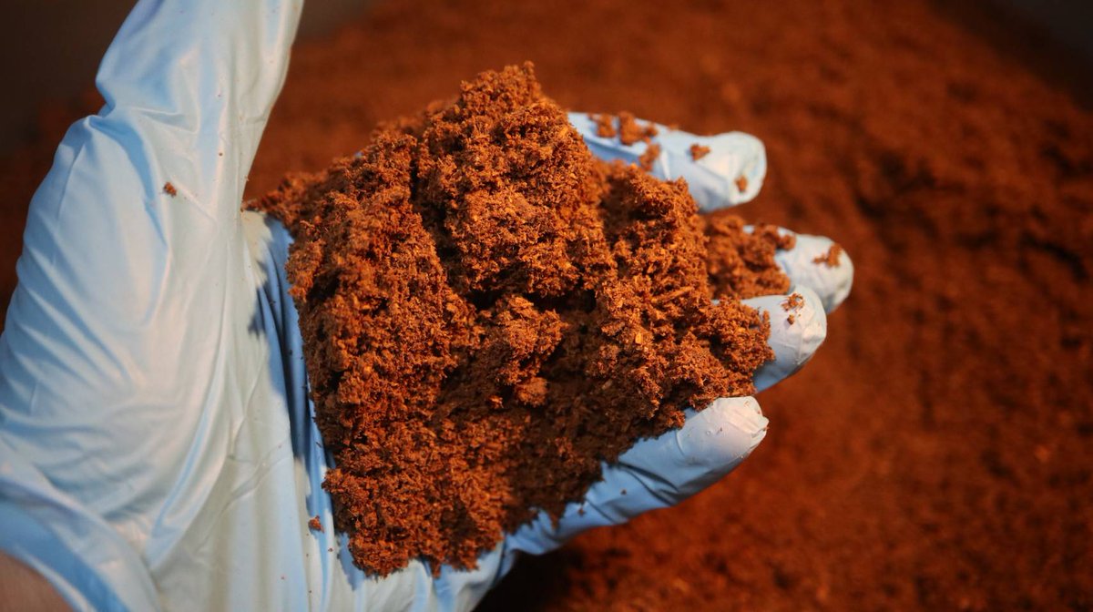 【プレ企画】久しぶりにプレ企画を開催します✨当選者3名(ヤマト着払い)
9/2:21時締め　翌日当選者発表
(景品)
・月光詰め合わせ
・レイシ材＆レイシ棒セット
・カブト、クワガタマット
・ブリーダーズゼリー300個
(応募)フォロー、リポスト、いいね

どれも自信作なので必要な物をお選びください。