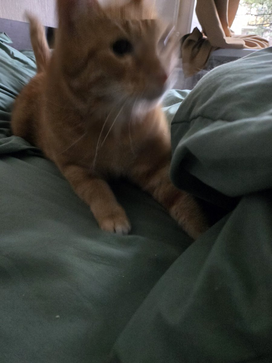 Утренний охотнег #носочетверг