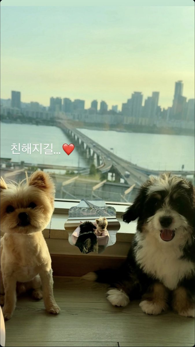 250828 빈이 인스타 스토리
친해지길...❤️

#ATBO #원빈