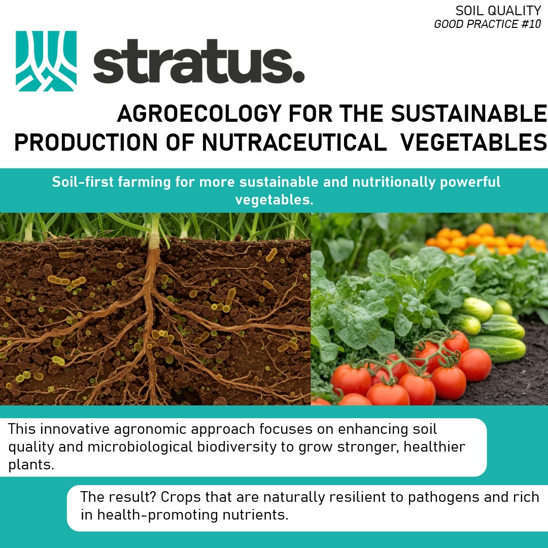 STRATUS is sharing the knowledge collected accross Eurpe to promote a more sustainable way to use fertilizers building a better future for agriculture.

👇Learn more here 👇
stratusproject.eu/wp-content/upl…