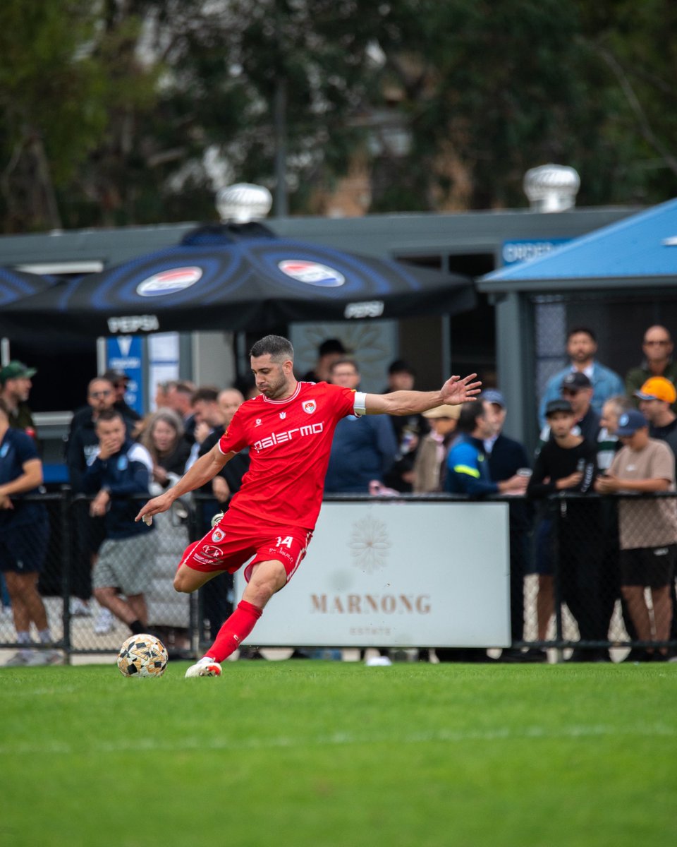 Harry Ascroft tweet media