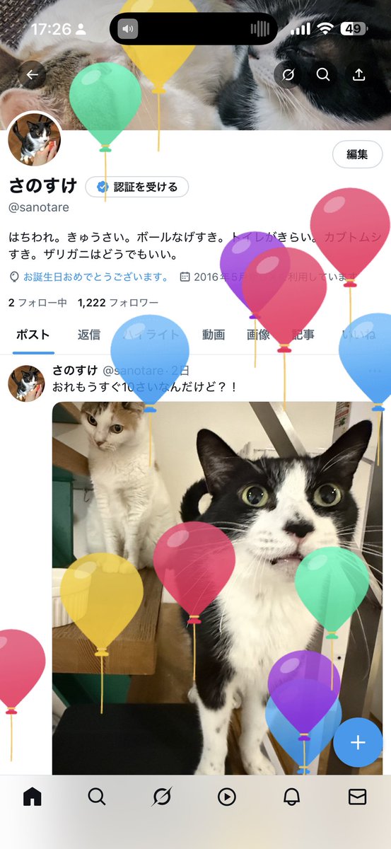 sanotare's tweet photo. ふうせんとんだ！！！
ばーすでーばかんすの　おれ！！
おれ　すな　だいっきらい！！！！！ https://t.co/1BwnKLI1b1