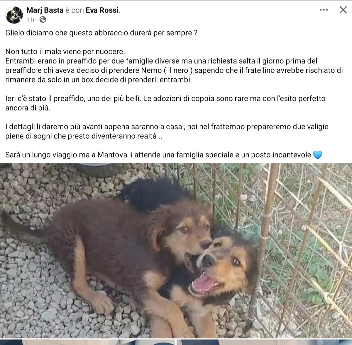 unonlus's tweet image. #Ursula #Nemo e #Merlino tuti e tre
felicemente #adottati 
❤️❤️❤️❤️❤️❤️❤️❤️❤️