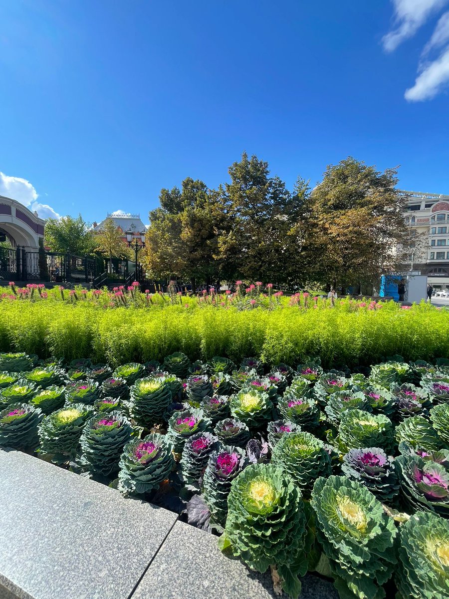 قفوا على عتبات الدعاء وألحّوا، فهناك الهبات.