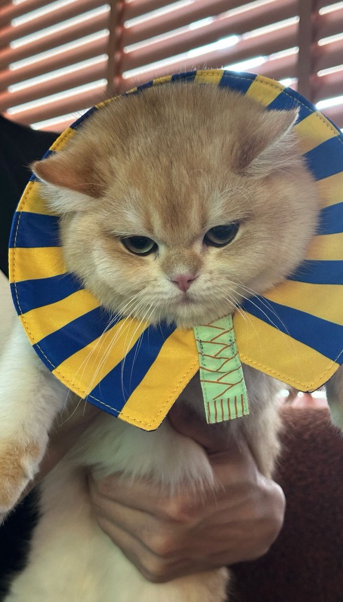IGs updated [28082025] 🐈

#BuildJakapan <a href="/JakeB4rever/">BIU.</a> 
#Beyourluve