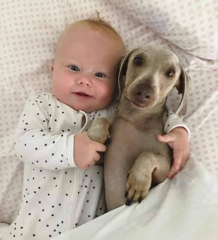 _XDogs's tweet image. Picture of the day ❤ 💝

On a scale from 1 - 10 how beautiful is this photo?