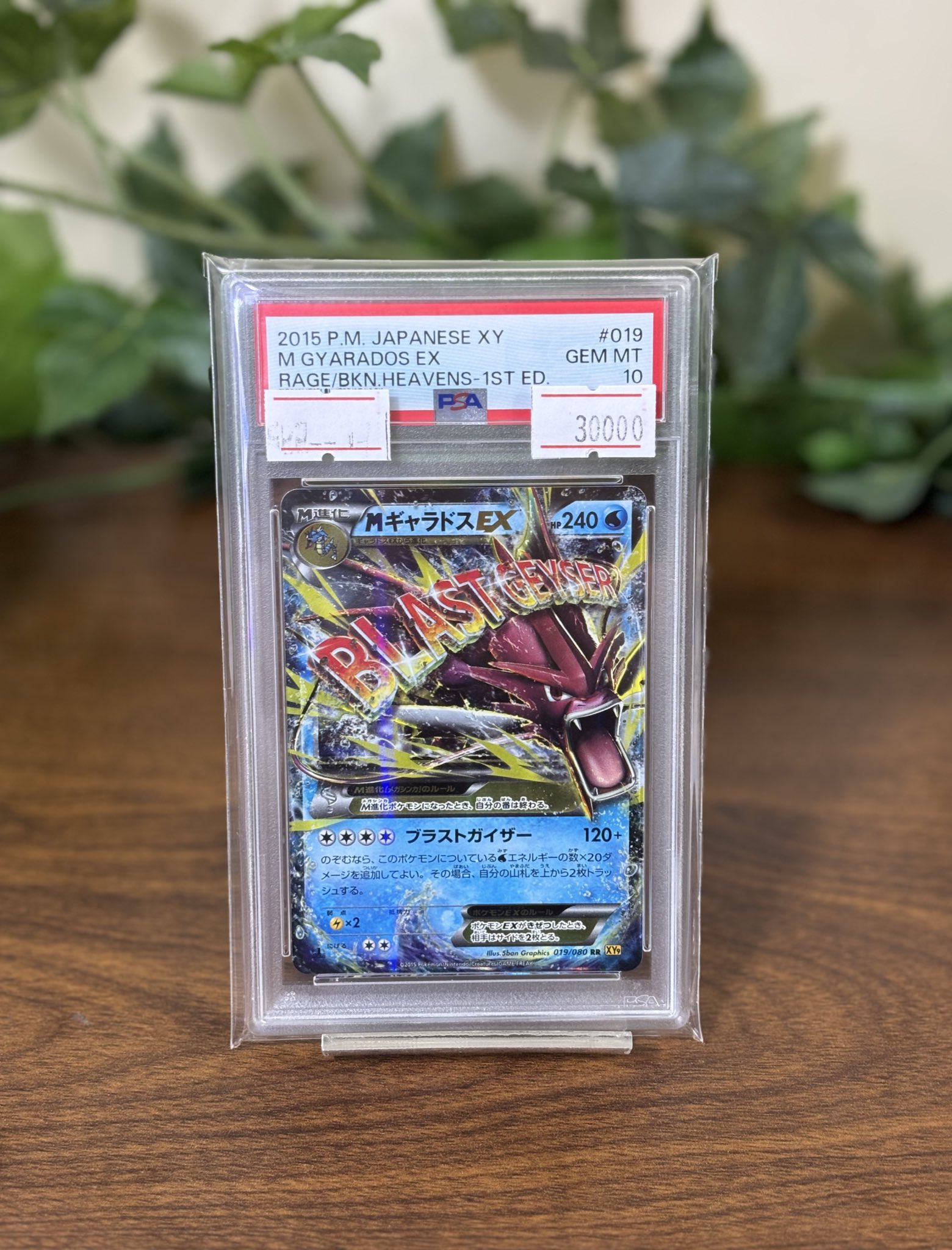 ポケモンカード MキャラドスEX XY9 019 MギャラドスEX [XY9][019