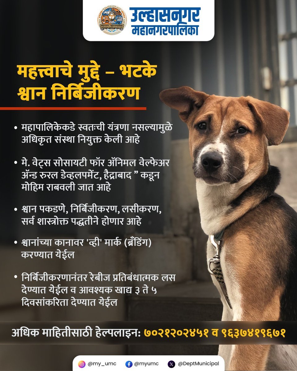 DeptMunicipal's tweet photo. शहरातील भटक्या श्वानांचे शास्त्रोक्त निर्बिजीकरण व लसीकरण महापालिकेमार्फत सुरू आहे.
ही मोहिम नागरीकांच्या सुरक्षिततेसह शहराच्या स्वच्छतेसाठी महत्त्वाची आहे.
#UlhasnagarMunicipalCorporation #UMCUpdates #DogSterilization
#AnimalWelfare #SafeCity #ulhasnagarprogress https://t.co/t5y5zFqbpc