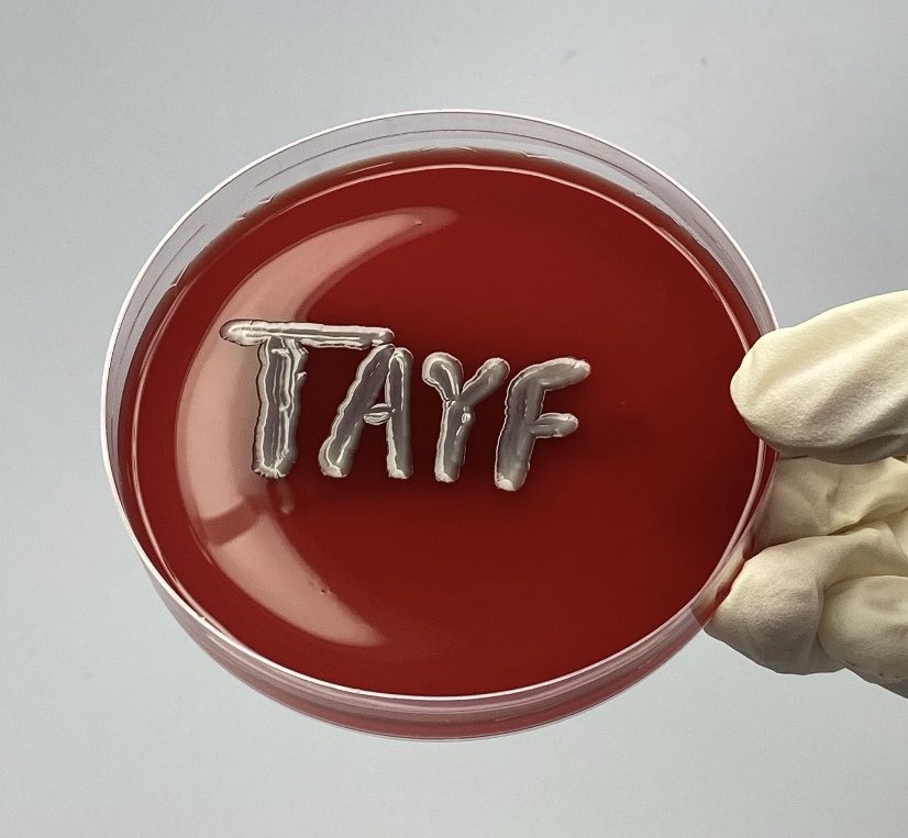 MLS. Tayf tweet media