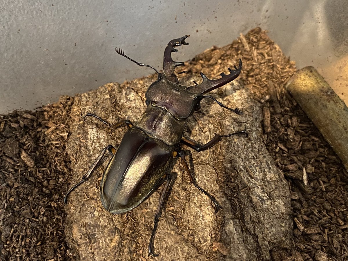 2016. ゆきそらページ キキ (@sora2999) / X