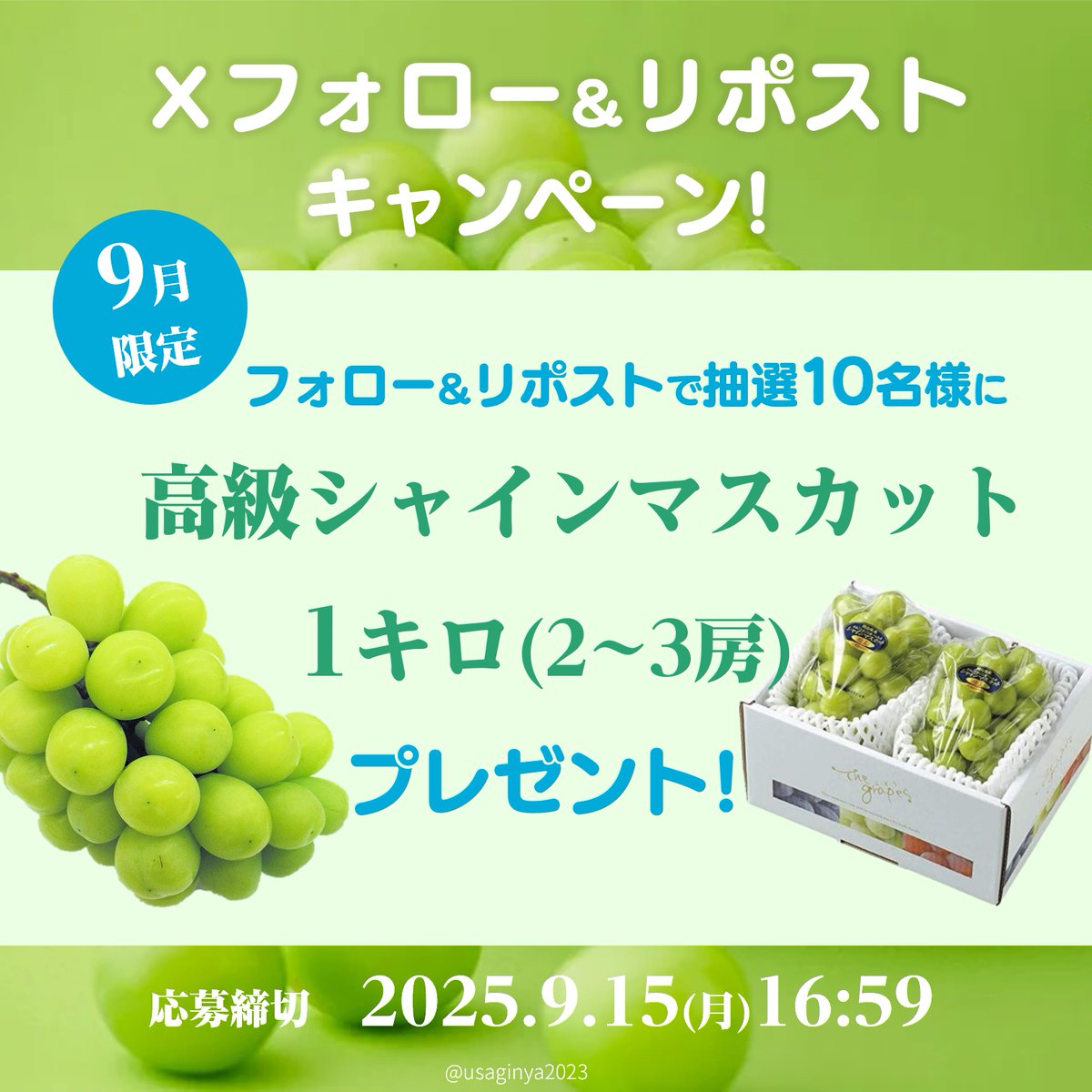 ／
☀旬のシャインマスカットを
夏の暑い盛りのご褒美にいかが？
#プレゼント #キャンペーン 実施中🎊
＼

〰〰【期間限定】〰〰〰
🍇シャインマスカット１キロ (2~3房)
抽選で10名様にプレゼント!!🎁

✨応募方法✨
①<a href="/usaginya2023/">ウサギニャ【公式】</a>をフォロー
②9/13 16:59迄にリポスト🔃

🫶ご応募お忘れなく❣