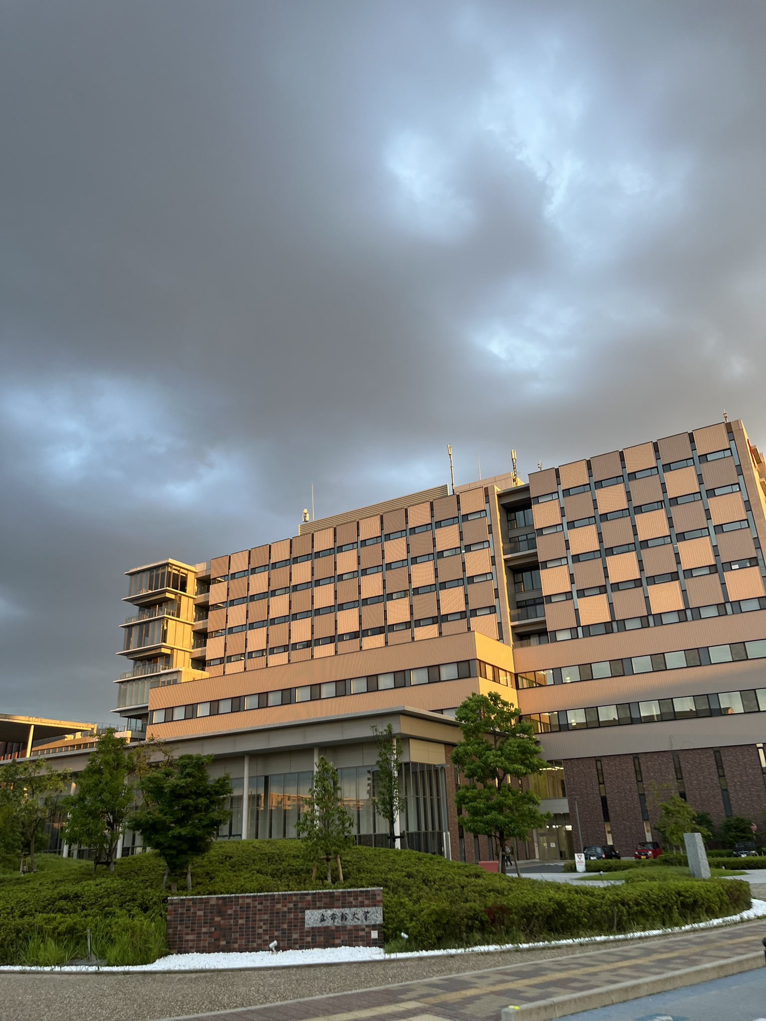 ヨネックス　立命館大学 壹岐あいこ 立命館大学 〈レイクスサポートアスリート〉［女子