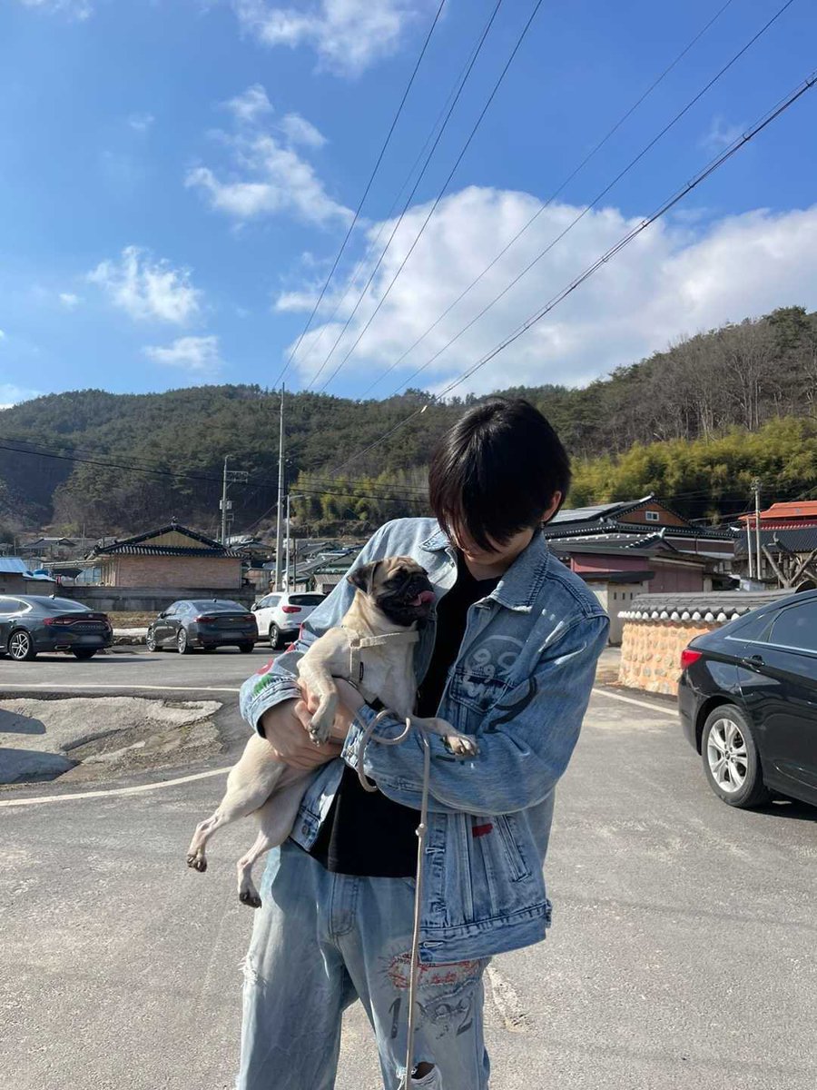 sanbinniez's tweet photo. dog guys 🐕
#SOOBIN #TAESAN https://t.co/rJ1xvf78Y9