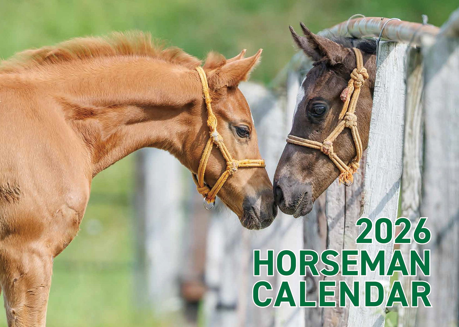 サラブレッド血統センター on X: 