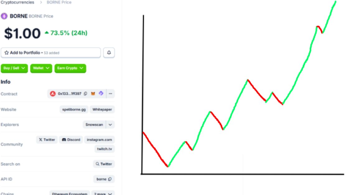 JUST IN: $BORNE chart has been leaked and it hits $1