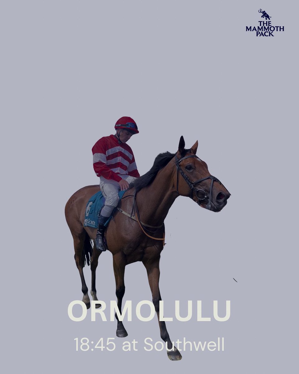 Ormolulu lines up at <a href="/Southwell_Races/">Southwell Racecourse</a> today in the Racing League for Team East.

She backs up quickly after not getting to fully run her race at York last week.

<a href="/GemmaTutty/">Gemma Tutty Racing</a> #horseracing #racingsyndicate