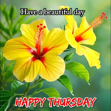 ~Good Morning World~ Happy Thursday!  👇🏻 Enjoy! ☮️❤️☕️