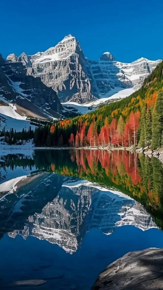 Good morning! Happy Thursday!🤠👍🏻